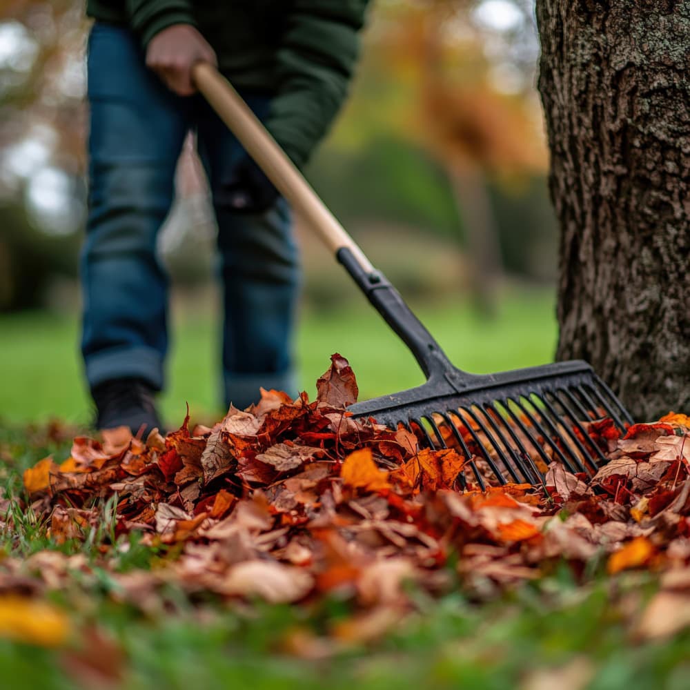 pavers and landscaping services