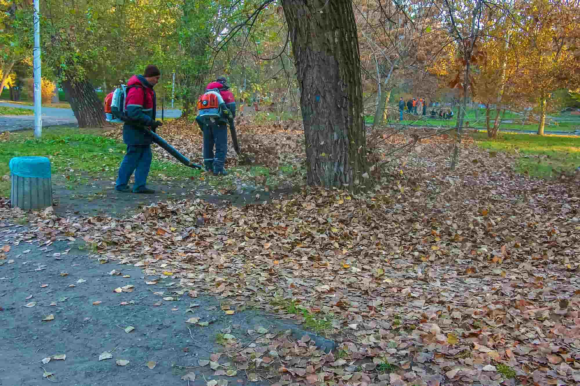 spring and fall clean-up services